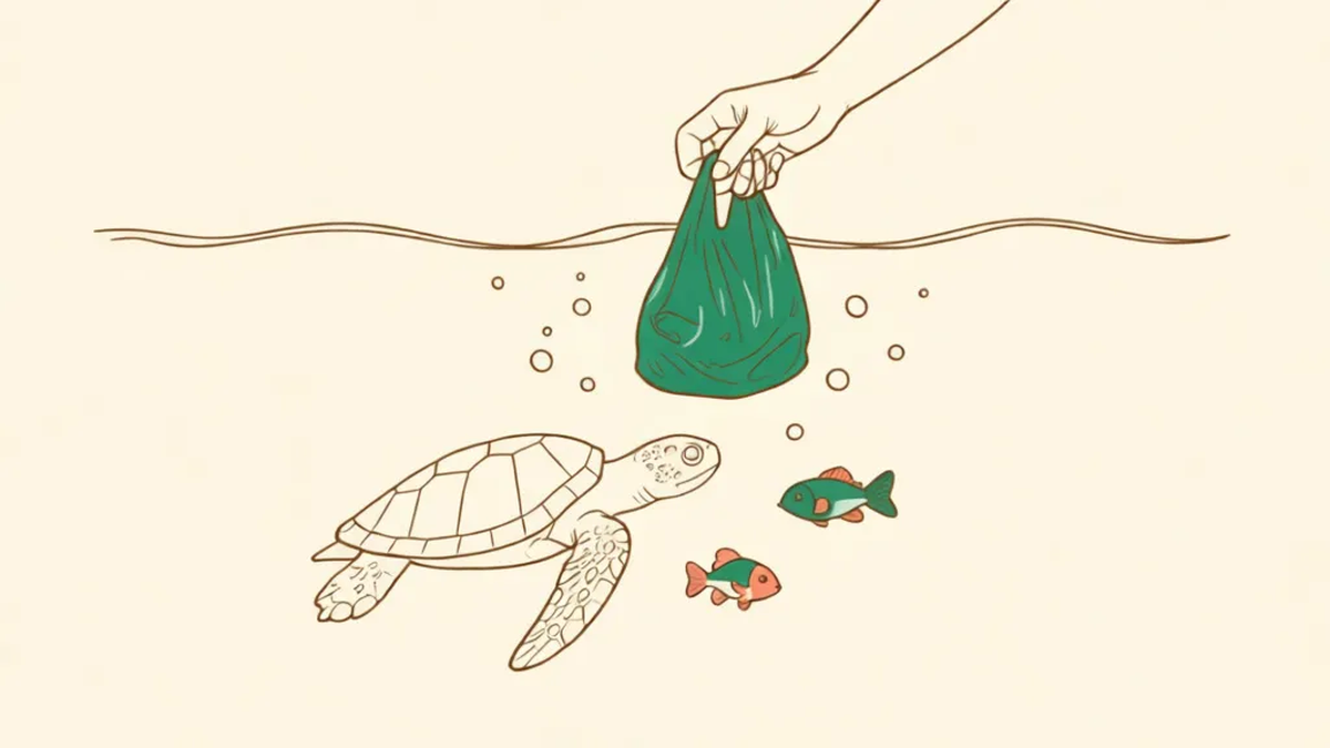 A hand lifting a plastic bag out of the water above a sea turtle and two fish